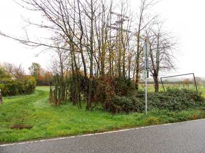 land- und forstwirtschaftlich genutztes Grundstück in Durch den Okrifteler Weg, 65931 Sindlingen - Bild 1