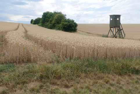 Landwirtschaftsfläche Ackerland in Dettelbach - Bild 1