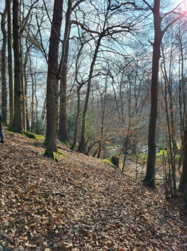 land- und forstwirtschaftlich genutztes Grundstück, land- und forstwirtschaftlich genutztes Grundstück in Burscheid - Bild 2