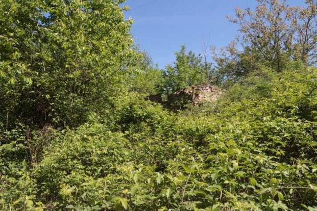 Waldfläche, Gebäude- und Freifläche, Landwirtschaftsfläche in Maxhütte-Haidhof - Bild 4