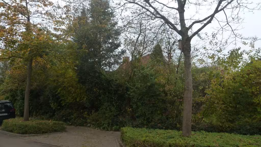 Einfamilienhaus in Buxtehude - Bild 4