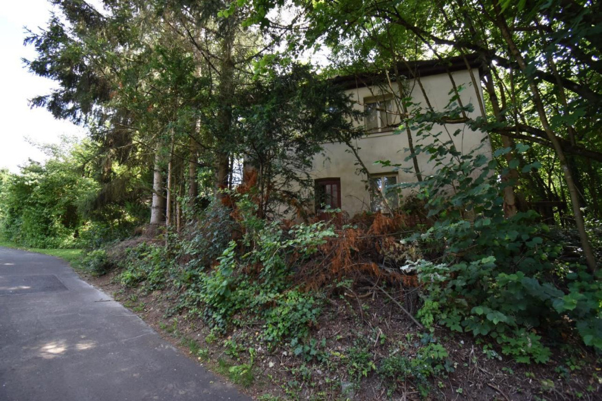 Einfamilienhaus, Sonstiges in Burgthann - Bild 1