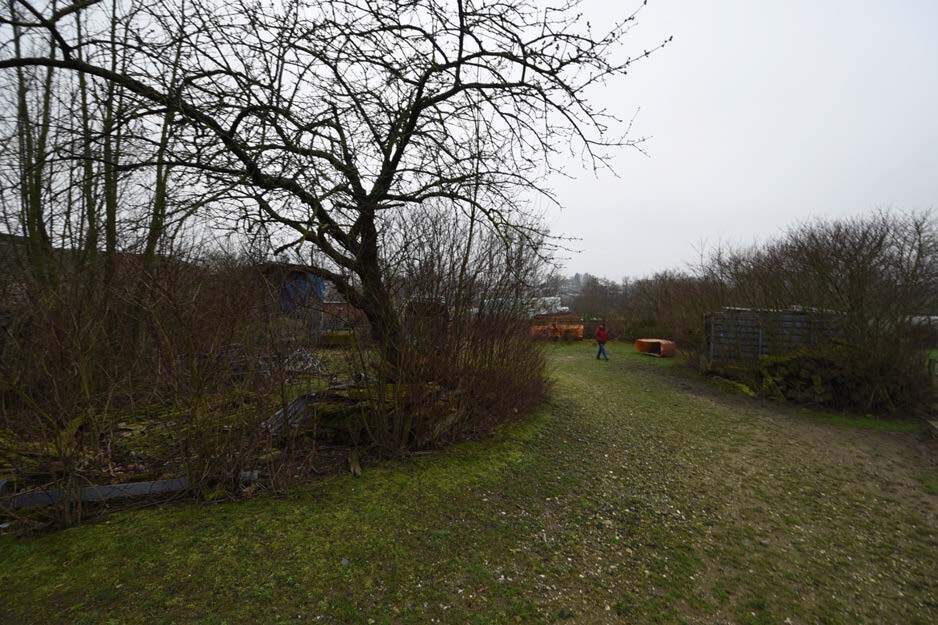 land- und forstwirtschaftlich genutztes Grundstück, landwirtschaftliche Hofstelle mit Grünland, 3 Waldflächen in Neunkirchen-Seelscheid - Bild 4