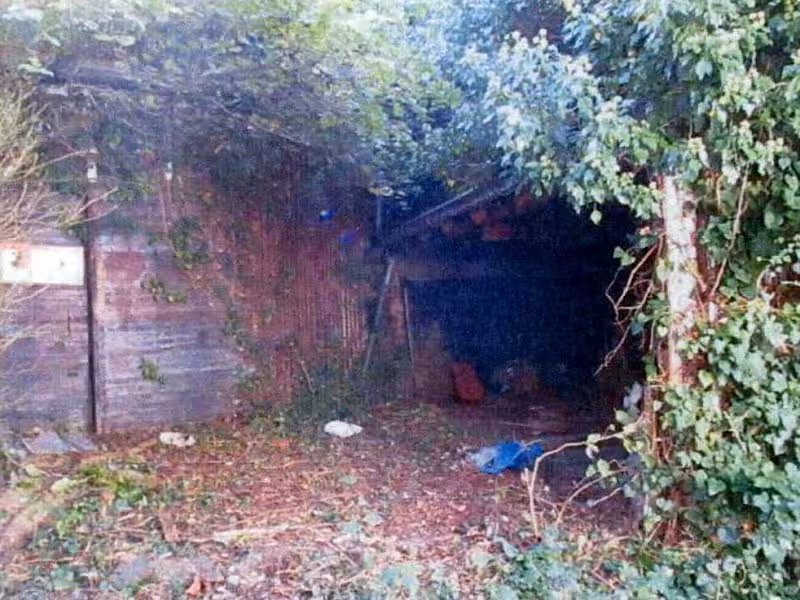 Wohnhaus mit Scheune (Abbruchobjekt) und Grünland in Urbach - Bild 3