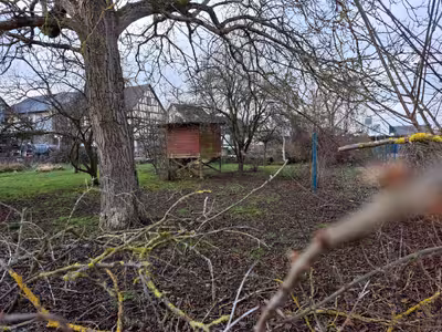 unbebautes Grundstück in Buchenstraße 2, 56412 Heilberscheid - Bild 2