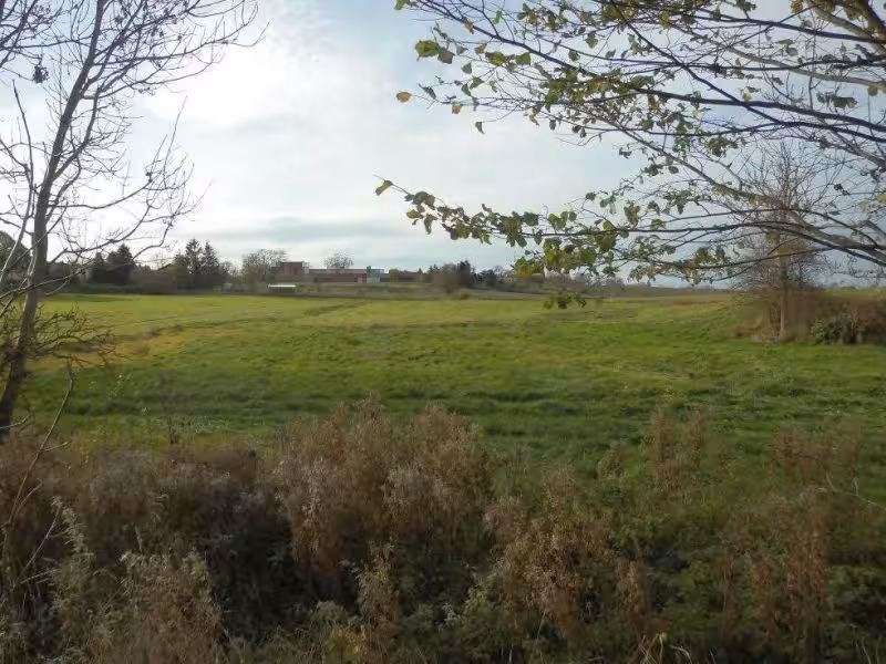 Landwirtschaftsflächen in Warnkenhagen - Bild 2