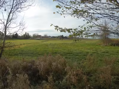 Landwirtschaftsflächen in An der Kreisstraße nach Gottin, 17168 Warnkenhagen - Bild 2