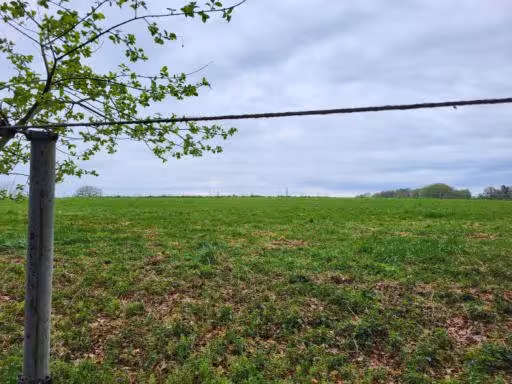 land- und forstwirtschaftlich genutztes Grundstück, land- und forstwirtschaftlich genutztes Grundstück in Burscheid - Bild 1