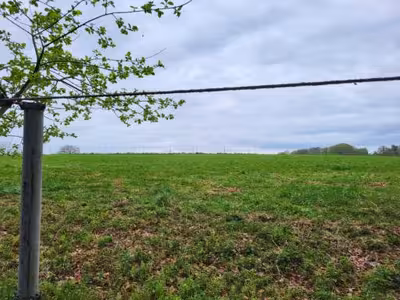 land- und forstwirtschaftlich genutztes Grundstück, land- und forstwirtschaftlich genutztes Grundstück in Blasberg, 51399 Burscheid - Bild 1