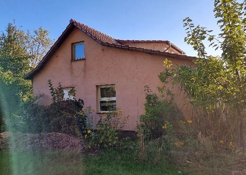 Einfamilienhaus mit Nebengebäuden in Martenshagen - Bild 3