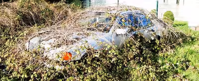 unbebautes Grundstück in Zum Uphof, 32120 Hiddenhausen, Sundern - Bild 2