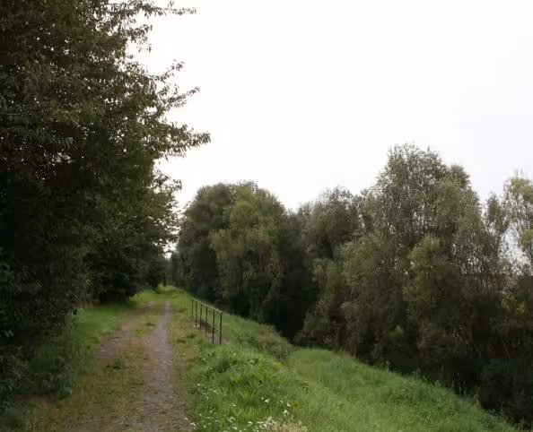 unbebautes Grundstück in Nordhausen - Bild 3