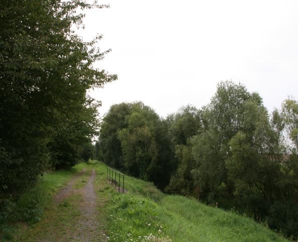 unbebautes Grundstück in Nordhausen - Bild 3