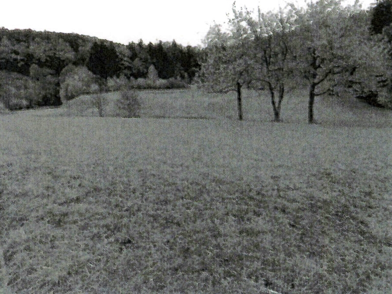 Landwirtschaftsflächen in Ammerbuch - Bild 1
