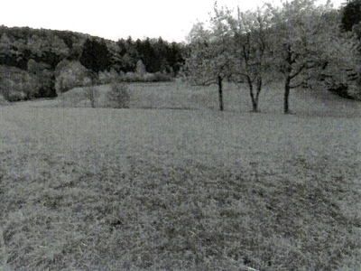 Landwirtschaftsflächen in , 72119 Ammerbuch OT Entringen - Bild 1