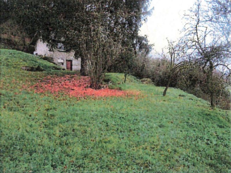 Freizeitgarten, Wald- und Landwirtschaftsfläche in Untergruppenbach - Bild 1