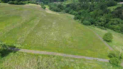 land- und forstwirtschaftlich genutztes Grundstück in Holler - Bild 2