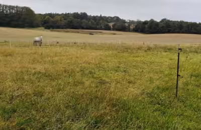 Landwirtschaftsflächen und Grundstücke in , 18551 Sagard - Bild 1