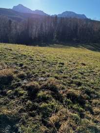 Waldfläche, Landwirtschaftsfläche in Anger - Bild 4