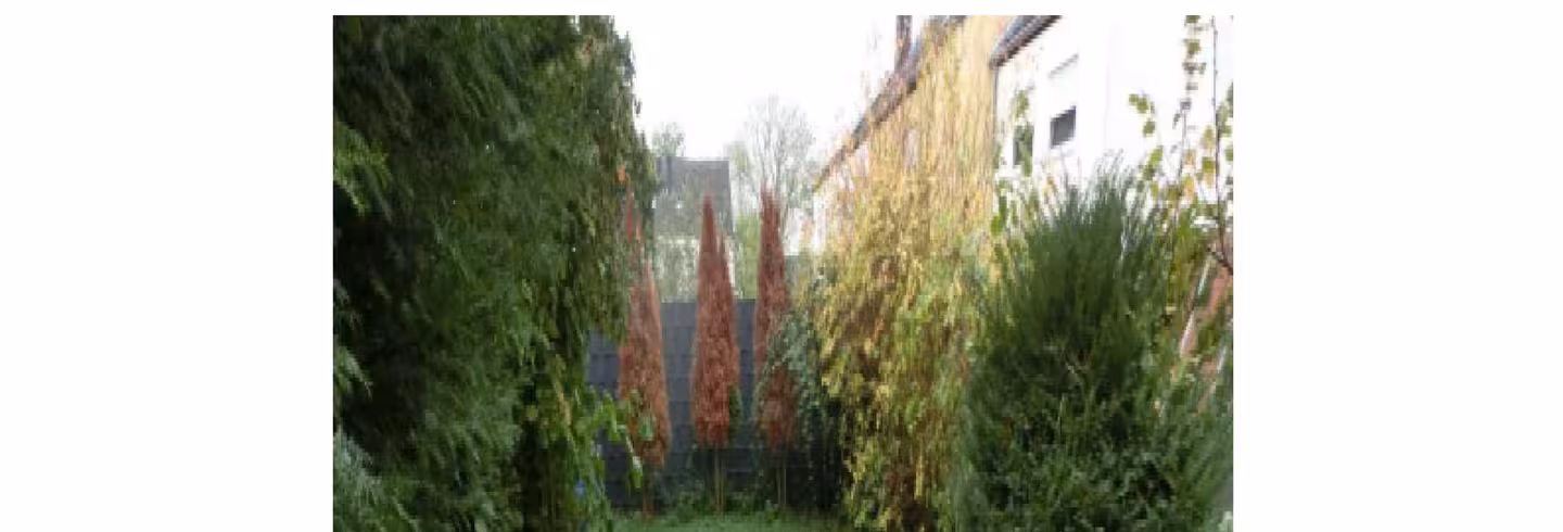Einfamilienhaus, Reihenhaus in Sankt Augustin - Bild 20