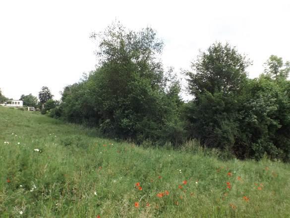 Betriebsfläche, Landwirtschaftsfläche, Waldfläche in Walting - Bild 4