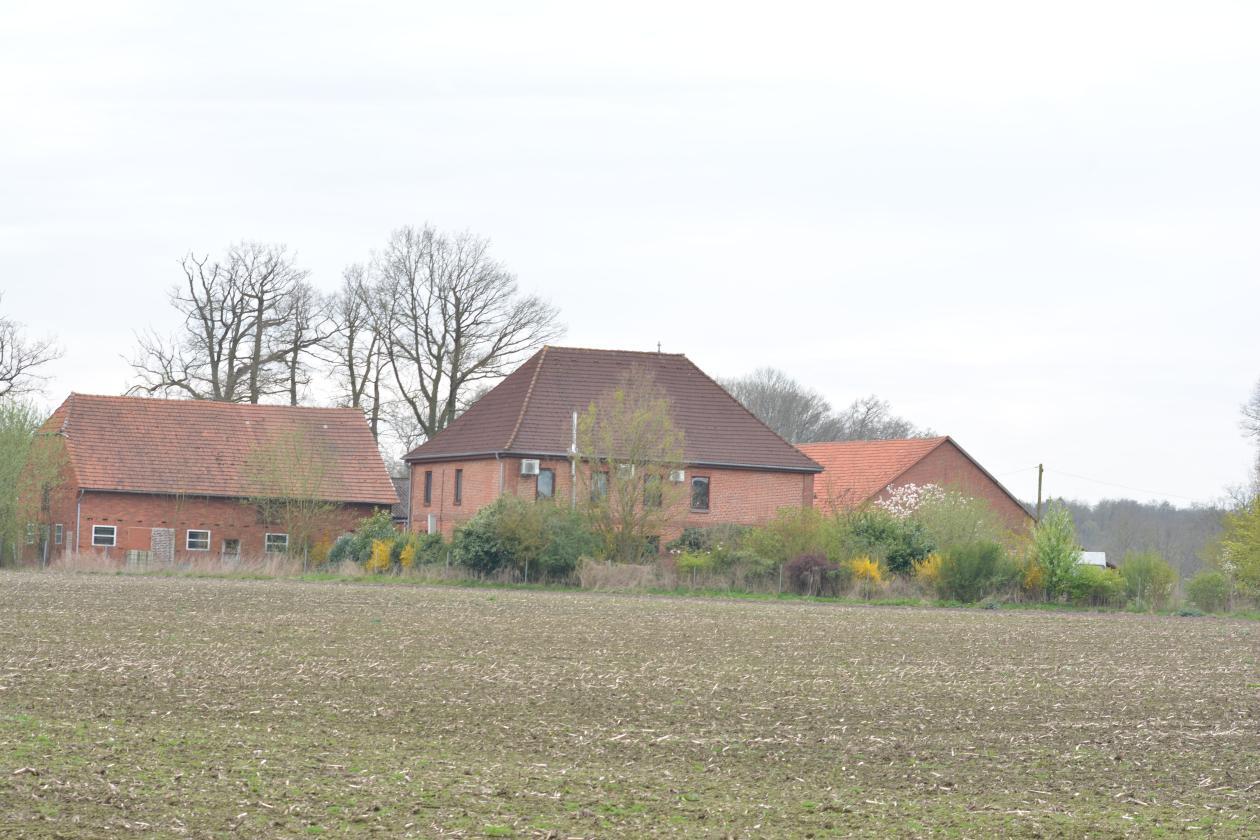 Zweifamilienhaus in Asendorf - Bild 3
