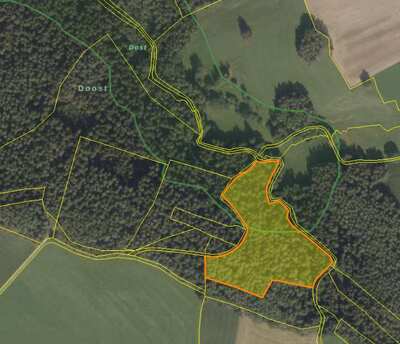 Waldfläche und Verkehrsfläche in Im Doost, 00000 Bergnetsreuth - Bild 1