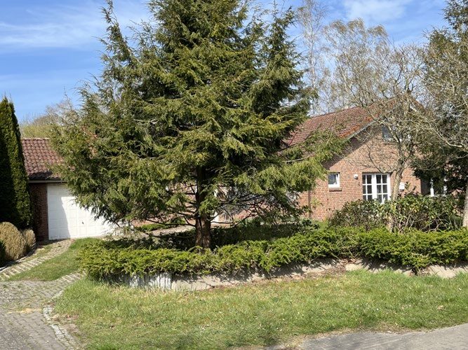 Einfamilienhaus in Beverstedt - Bild 2