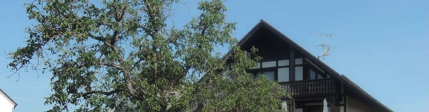 Mehrfamilienhaus, Garage, Sonstiges in Großwelzheim - Bild 2