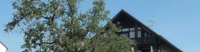 Mehrfamilienhaus, Garage, Sonstiges in Hauptstraße  68, 63791 Karlstein, Großwelzheim - Bild 2