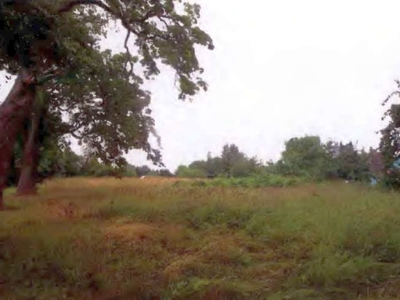 Brachfläche in Ecke Schulstraße/Straße des Friedens, 17440 Buggenhagen - Bild 1