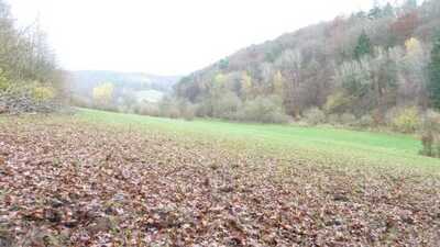 land- und forstwirtschaftlich genutztes Grundstück in An der Eichseite, 36251 Ludwigsau - Bild 2
