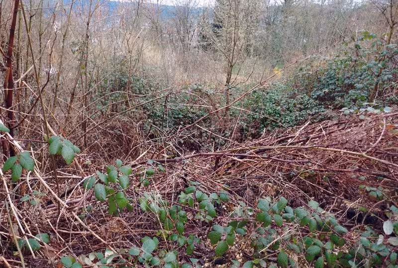 Unbebautes Grundstück in Schwäbisch Gmünd - Bild 2