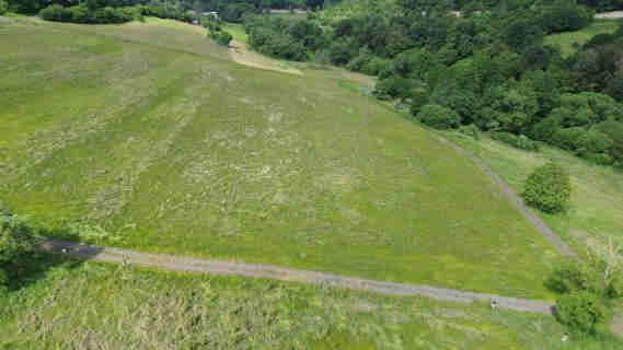 land- und forstwirtschaftlich genutztes Grundstück in Holler - Bild 1