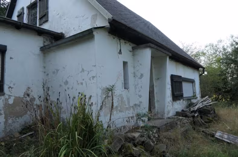 Einfamilienhaus in Hainewalde - Bild 3