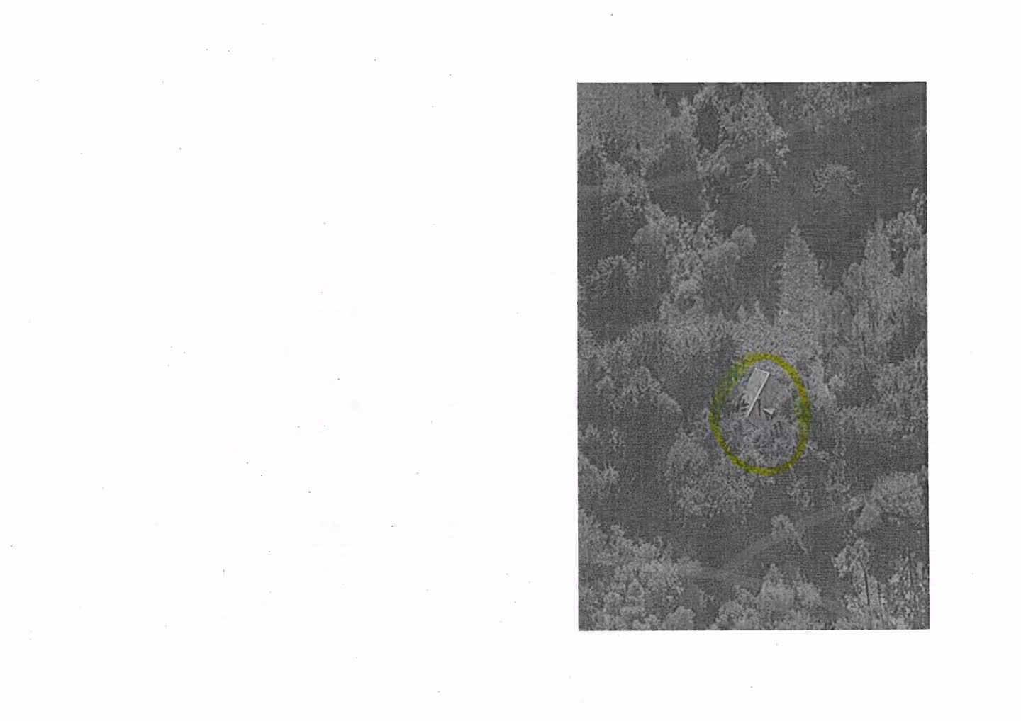 land- und forstwirtschaftlich genutztes Grundstück in St. Kilian - Bild 1