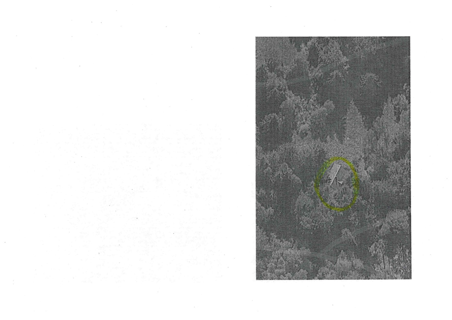 land- und forstwirtschaftlich genutztes Grundstück in St. Kilian - Bild 1