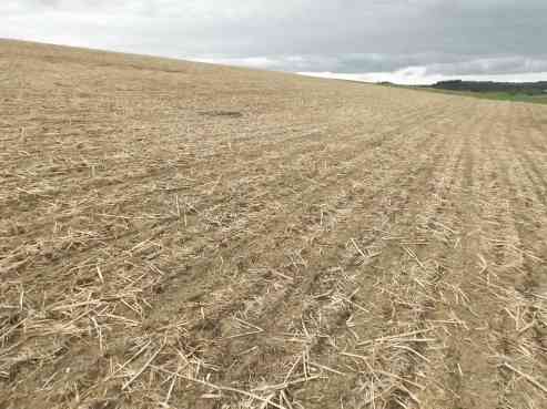 land- und forstwirtschaftlich genutztes Grundstück in Allershausen - Bild 2