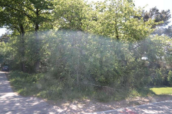 Sonstiges in Maxhütte-Haidhof - Bild 1