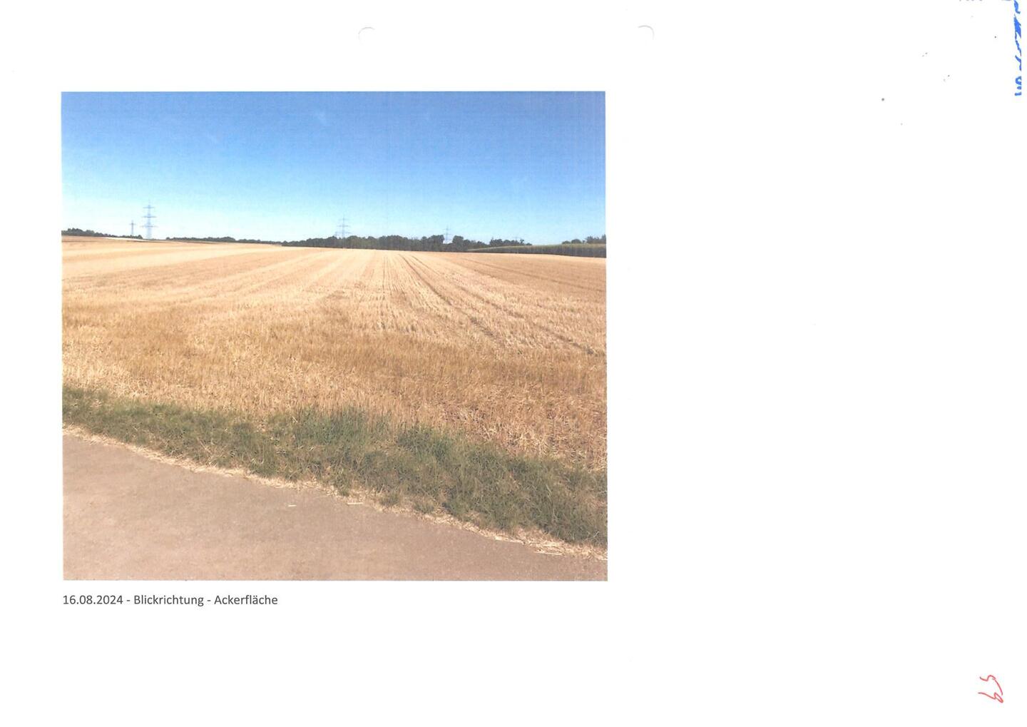 land- und forstwirtschaftlich genutztes Grundstück in Wölfersheim - Bild 2