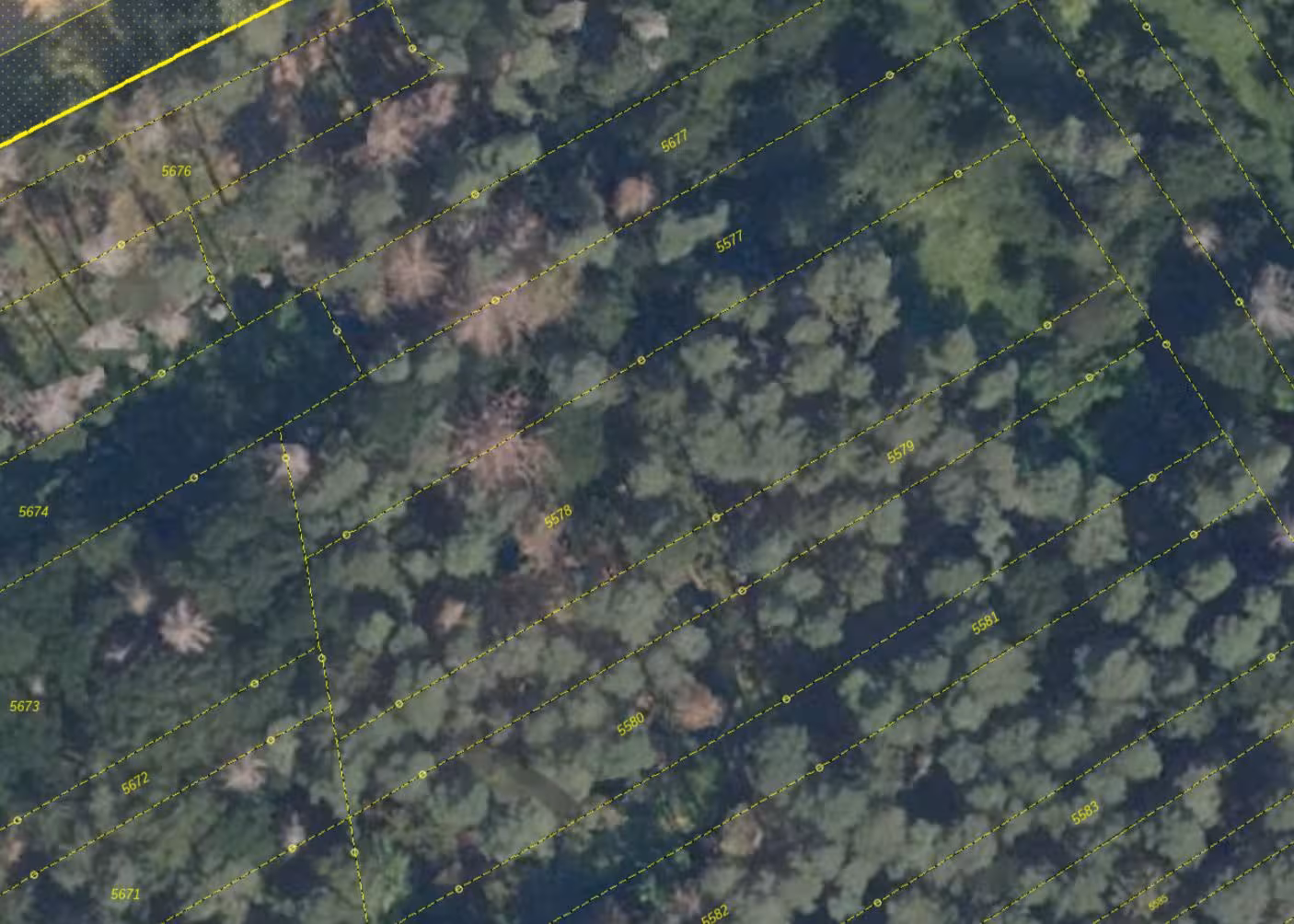 Sonstiges in Kriwitz - Bild 2