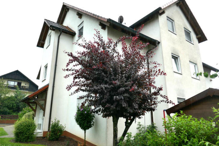 Eigentumswohnung (1 bis 2 Zimmer), Kfz-Stellplatz in Großostheim - Bild 4