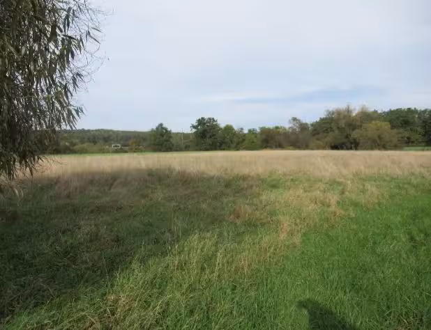 land- und forstwirtschaftlich genutztes Grundstück, Sonstiges in Gustenfelden - Bild 3