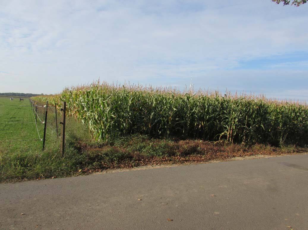 land- und forstwirtschaftlich genutztes Grundstück, ein unbebautes landwirtschaftliches Ackergrundstück in Heinsberg - Bild 1