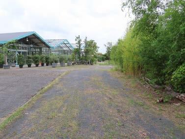 Sonstiges in Hainburg - Bild 4