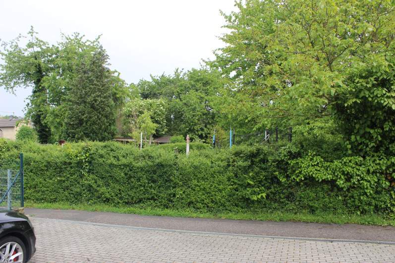 unbebautes Grundstück, zwischen "Rheindorfer Straße" und dem "Weingarten" in Extertal - Bild 4