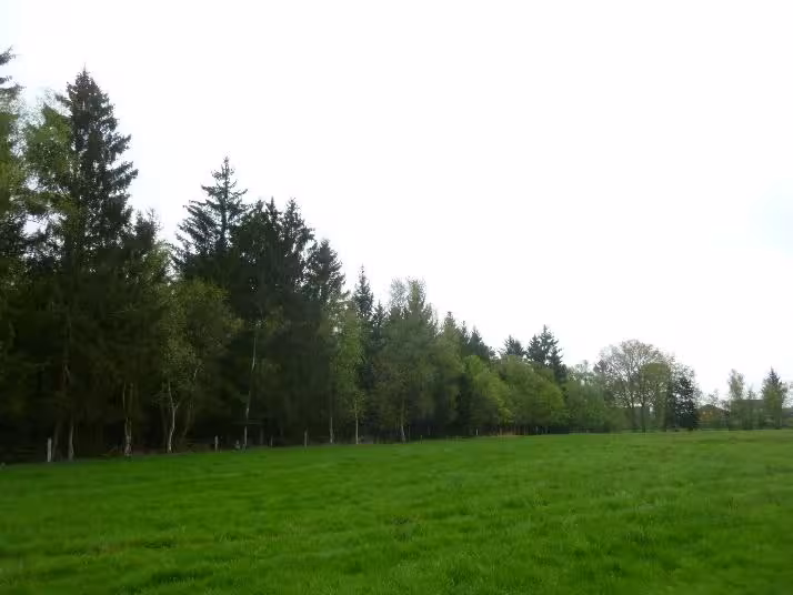 land- und forstwirtschaftlich genutztes Grundstück in Bötersen - Bild 3