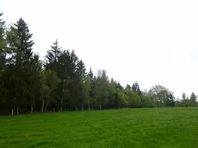 land- und forstwirtschaftlich genutztes Grundstück in Hinter dem Lahfelde, 27367 Bötersen - Bild 2