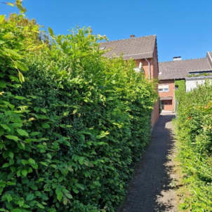 Einfamilienhaus (Reihenendhaus), Garage, Verkehrsfläche, in Schermbeck - Bild 4