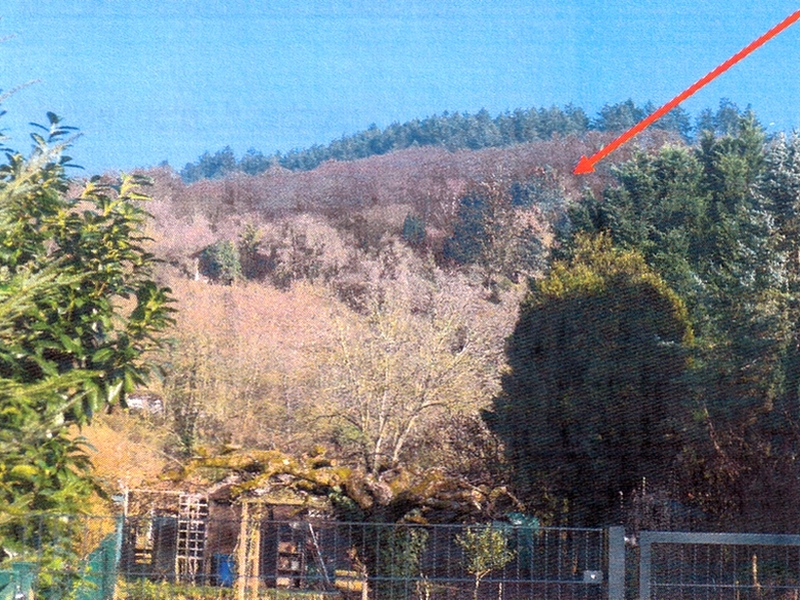 Landwirtschaftsfläche in Heidelberg - Bild 1